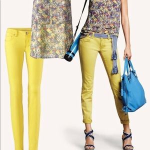 Cabi citron skinny size 8